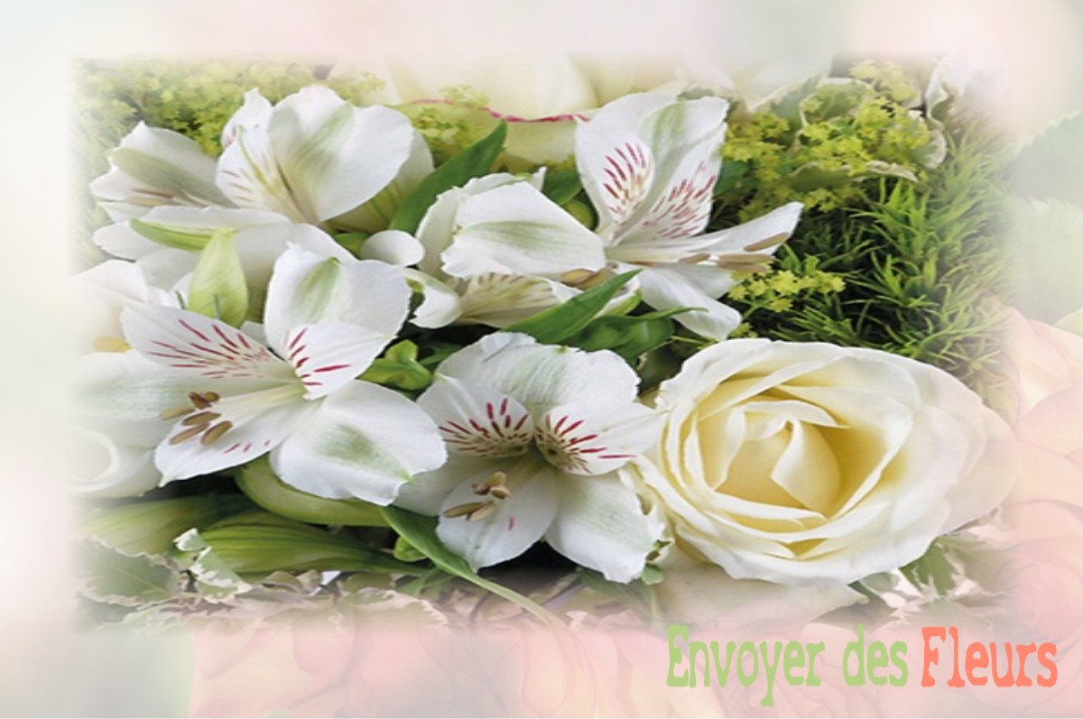 envoyer des fleurs à à HEUCOURT-CROQUOISON